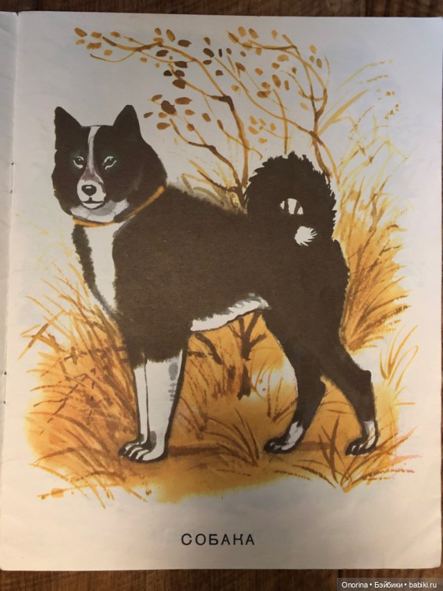 Альбомы для раскрашивания 80-х годов (ч.2) (фото 5)