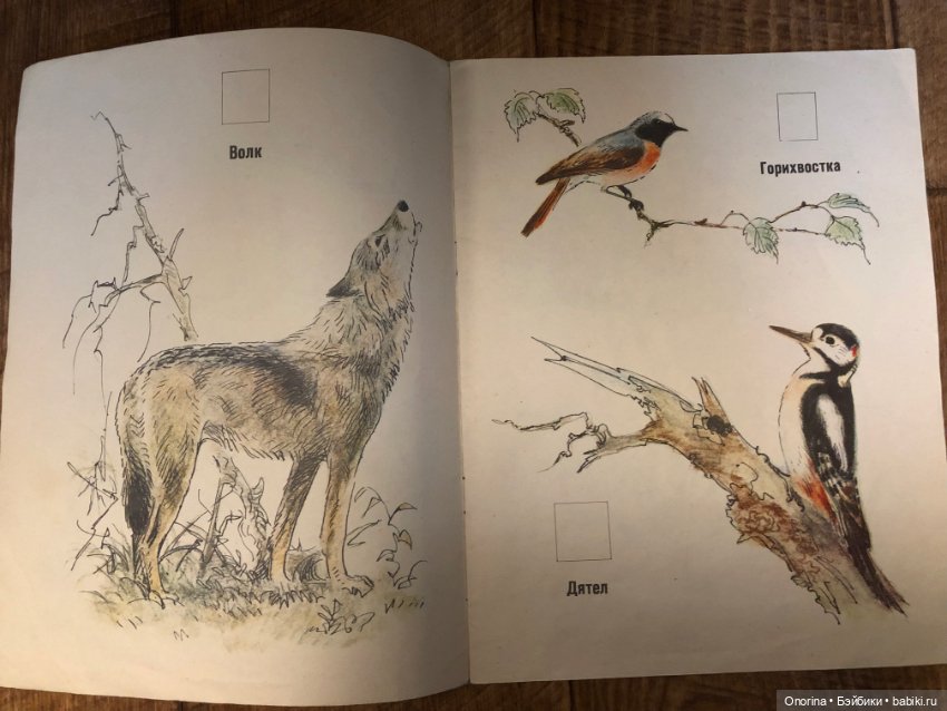 Альбомы для раскрашивания 80-х годов (ч.2)