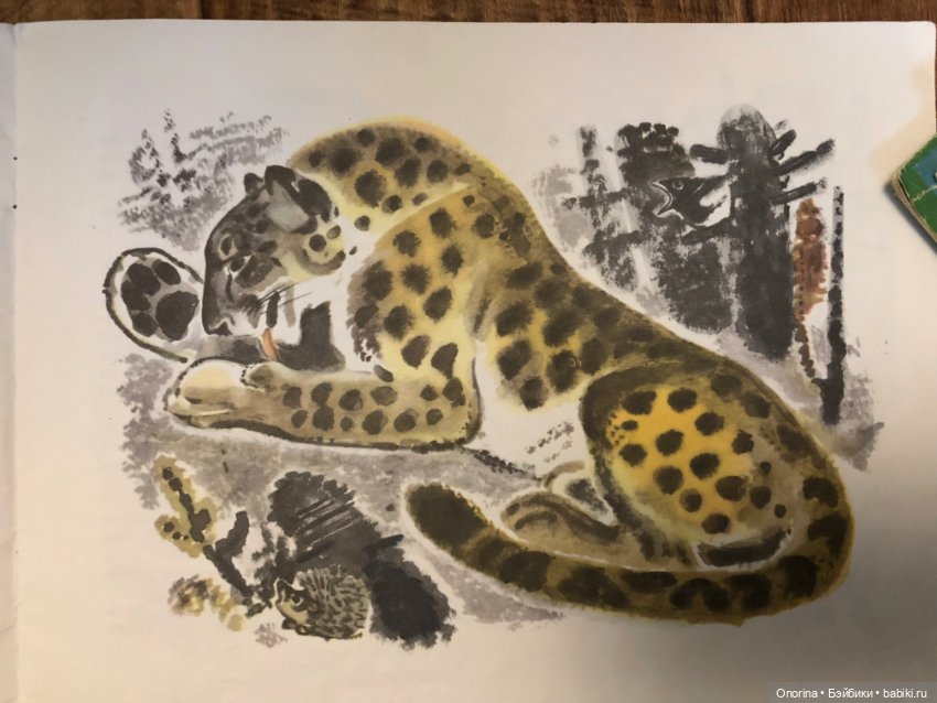 Альбомы для раскрашивания 80-х годов (ч.2)