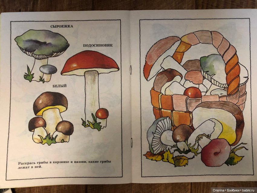 Альбомы для раскрашивания 80-х годов (ч.2)