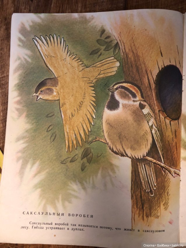 Альбомы для раскрашивания 80-х годов (ч.2)