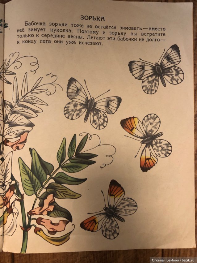 Альбомы для раскрашивания 80-х годов (ч.2)