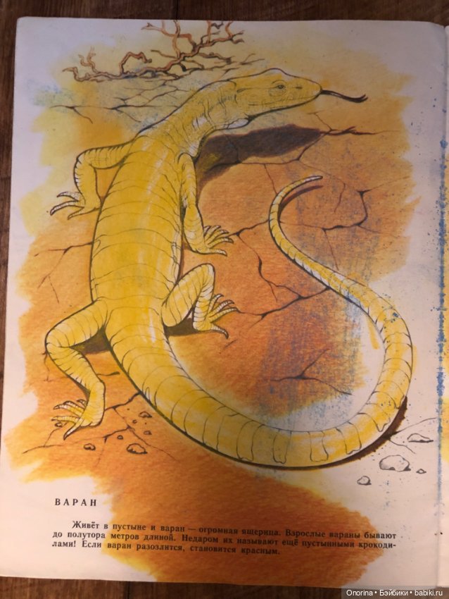 Альбомы для раскрашивания 80-х годов (ч.2)