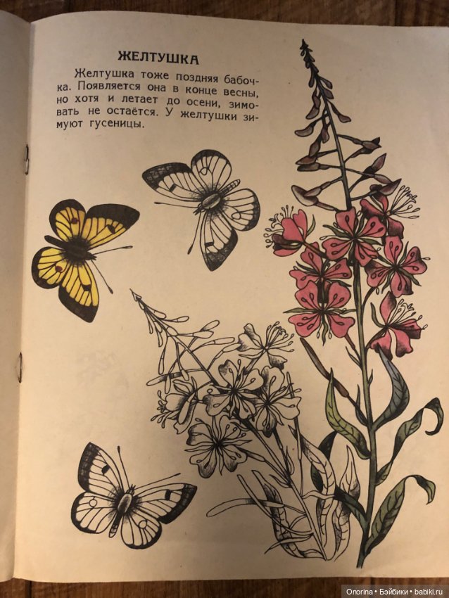 Альбомы для раскрашивания 80-х годов (ч.2)