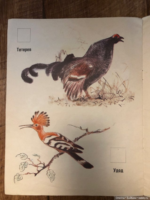 Альбомы для раскрашивания 80-х годов (ч.2)