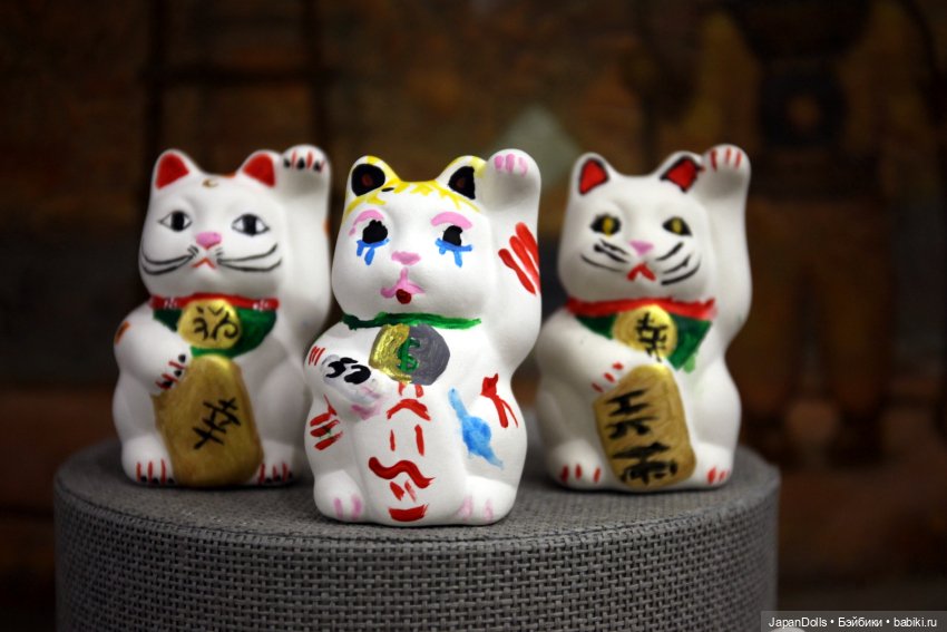 Новые котики на мастер-классе (фото 2)