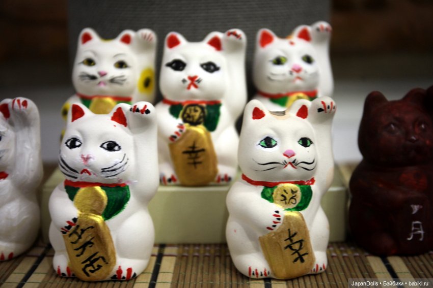 Новые котики на мастер-классе (фото 3)