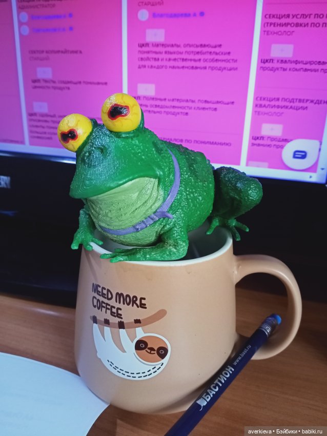 Ляпис Никифорович Жабецкой (фото 8)