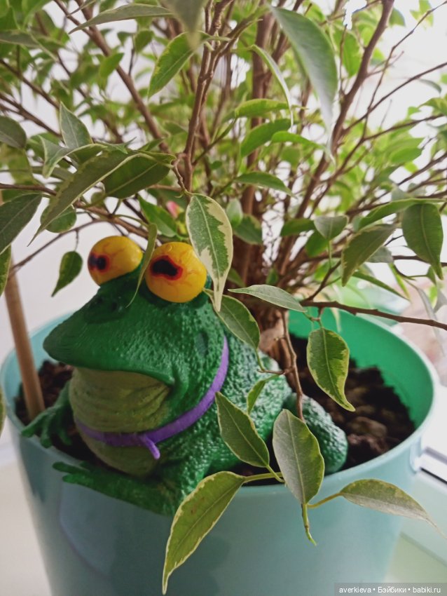 Ляпис Никифорович Жабецкой