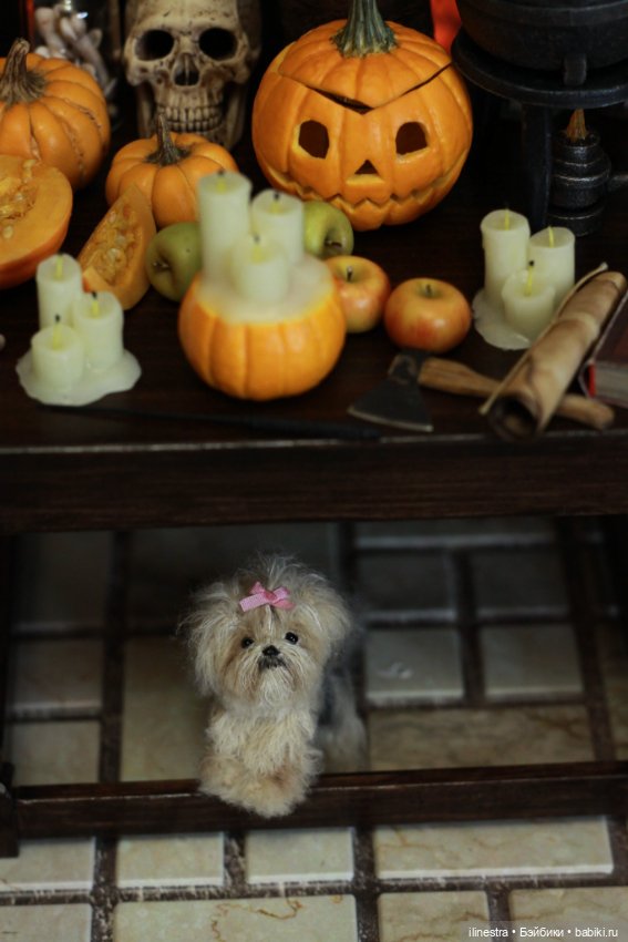 Хэллоуин у Северуса Снейпа: Малфои приходят в гости