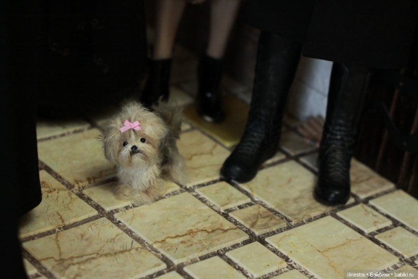 Хэллоуин у Северуса Снейпа: Малфои приходят в гости (фото 4)