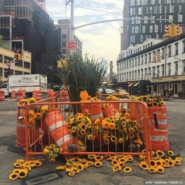 «Цветочные вспышки» от дизайнера Льюиса Миллера