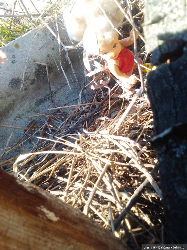 Грань тепла и холода в природе (фото 7)