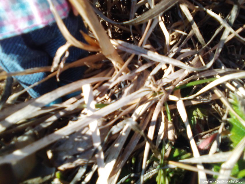 Грань тепла и холода в природе