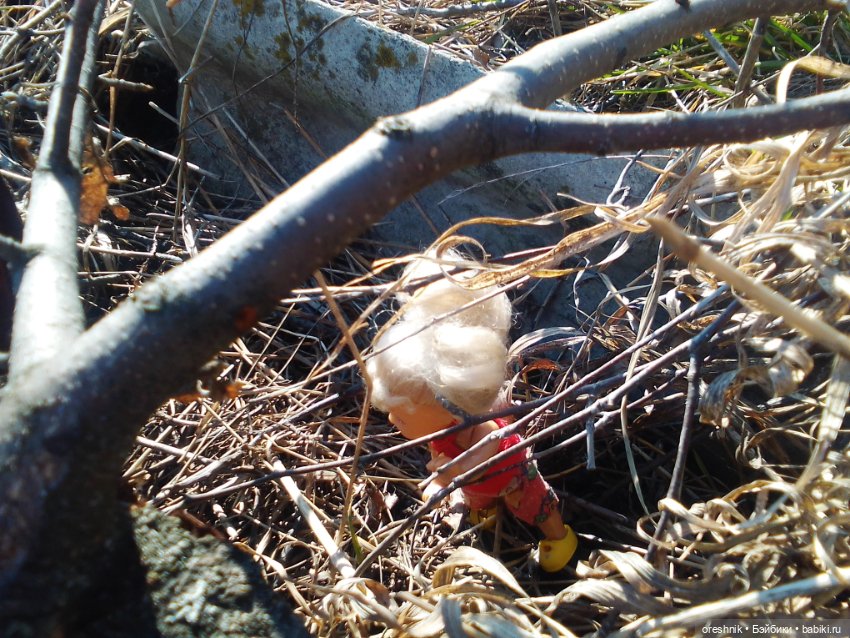 Грань тепла и холода в природе (фото 6)