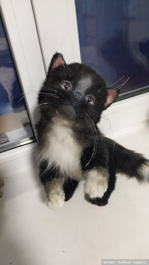 Котик Бегемотик — Авторские мишки Тедди и друзья: фото