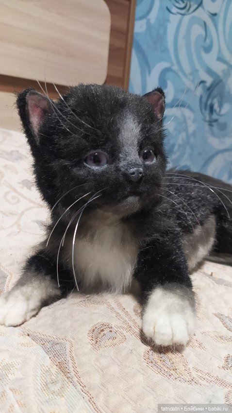 Котик Бегемотик — Авторские мишки Тедди и друзья: фото (фото 9)