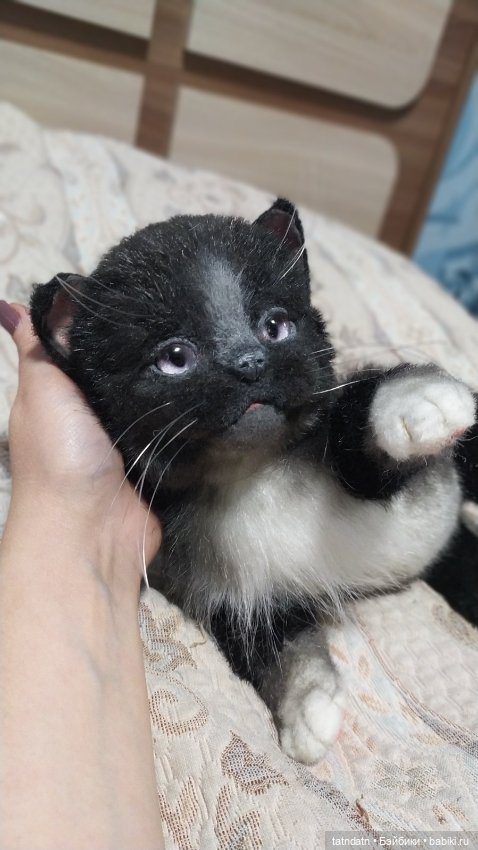 Котик Бегемотик — Авторские мишки Тедди и друзья: фото (фото 3)