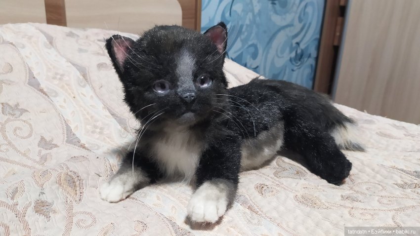 Котик Бегемотик — Авторские мишки Тедди и друзья: фото (фото 5)