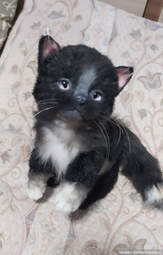 Котик Бегемотик — Авторские мишки Тедди и друзья: фото