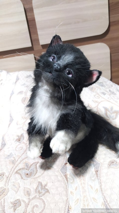 Котик Бегемотик — Авторские мишки Тедди и друзья: фото (фото 8)