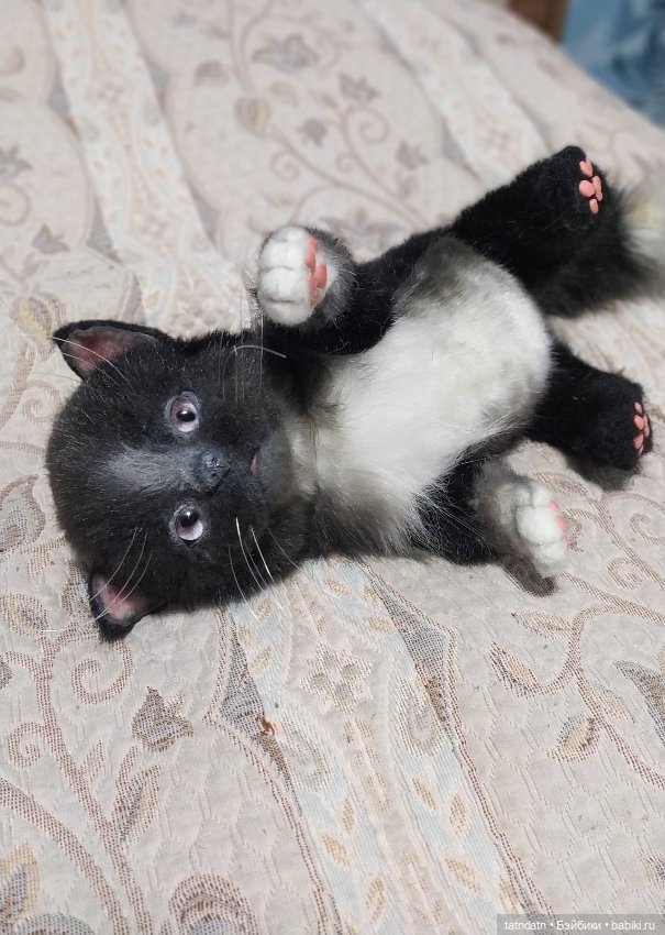 Котик Бегемотик — Авторские мишки Тедди и друзья: фото