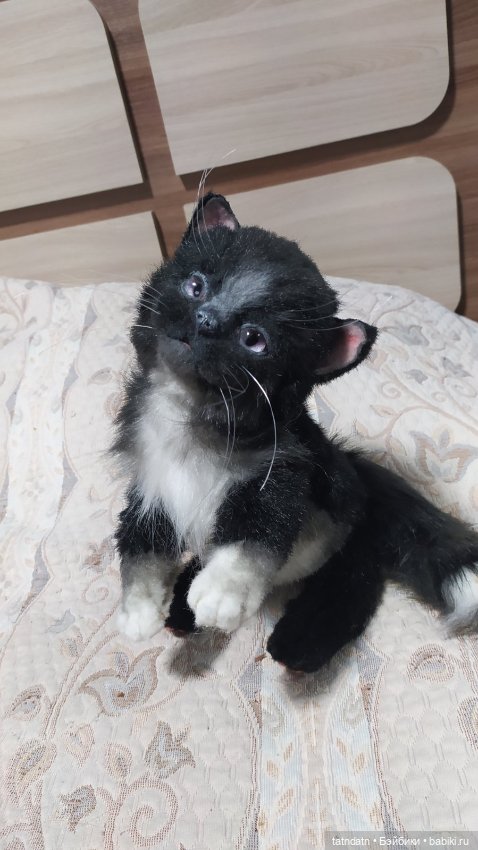 Котик Бегемотик — Авторские мишки Тедди и друзья: фото (фото 2)