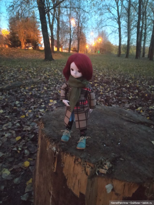 Первая прогулка с Юми — Разные шарнирные куклы (не БЖД): редкие