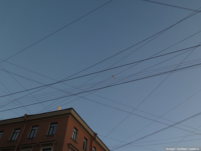 Кэптан в Питере в октябре