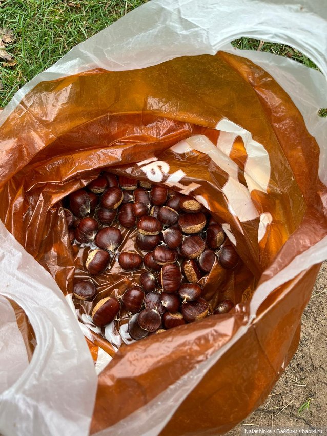 Fashion Dolls 414 — Туризм и путешествия: фотоотчеты из поездок (фото 10)