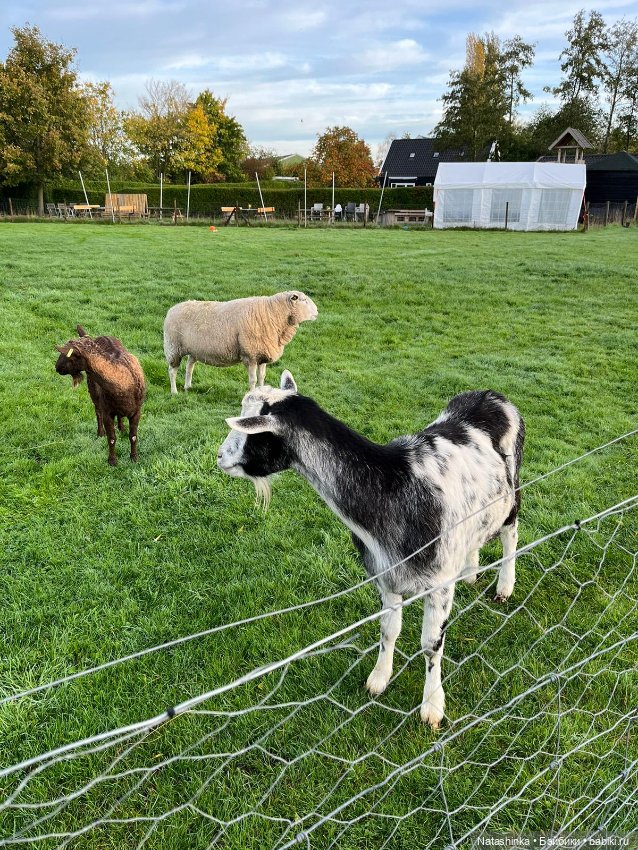 Fashion Dolls 414 — Туризм и путешествия: фотоотчеты из поездок (фото 9)