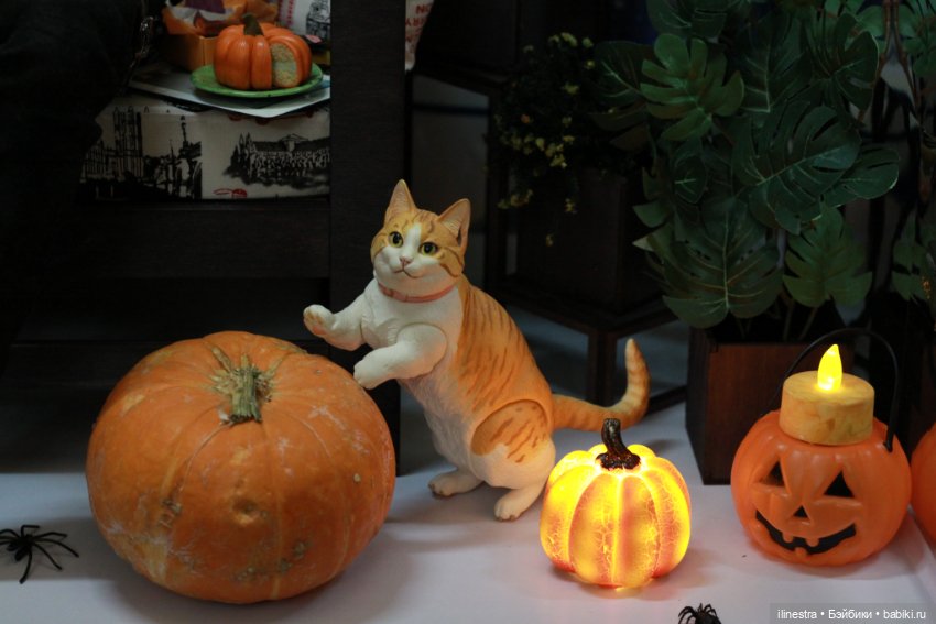 В ожидании Хэллоуина — Куклы Iplehouse (Иплхаус): BJD (БЖД) (фото 4)