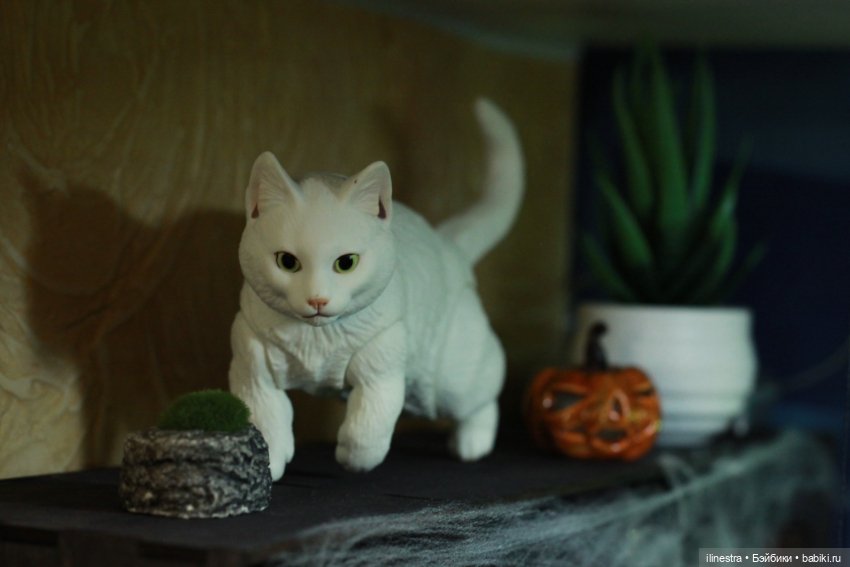 В ожидании Хэллоуина — Куклы Iplehouse (Иплхаус): BJD (БЖД)