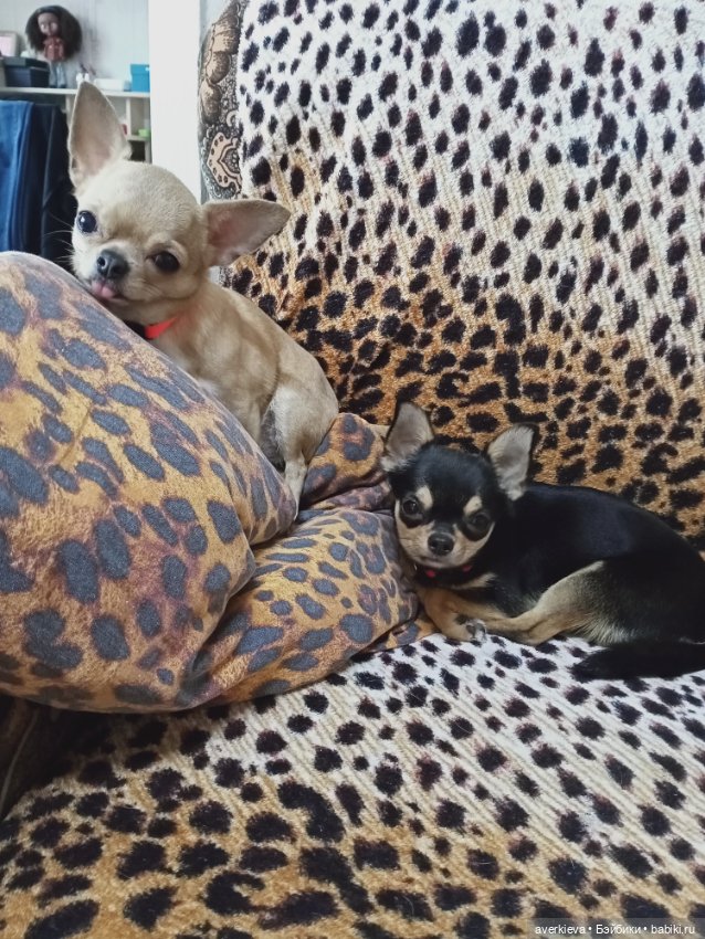 Цвет настроения- жёлтый! А жёлтый означает солнце (фото 9)