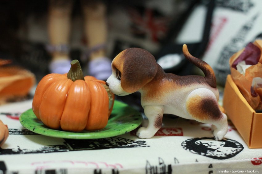 Малышня празднует Хэллоуин