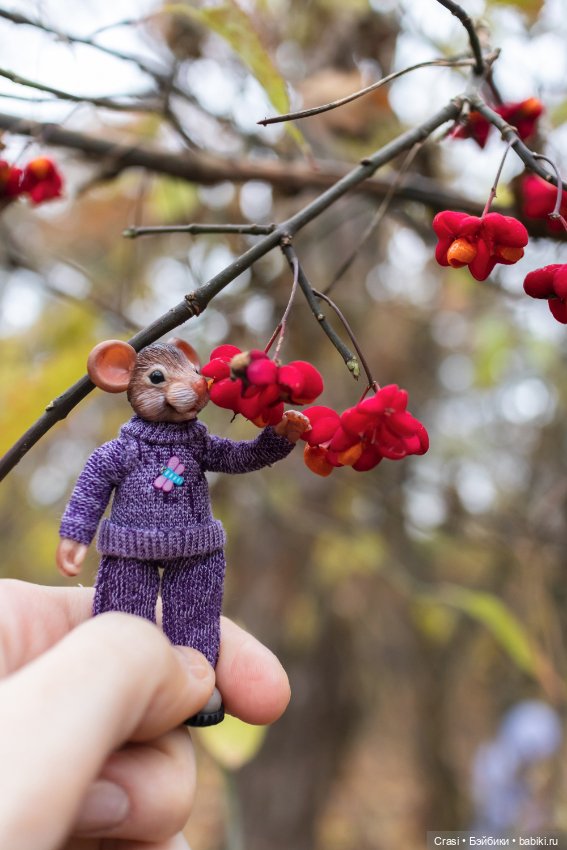 Мышуль в грибном лесу — Зарисовки из кукольной жизни: фотоистории (фото 6)