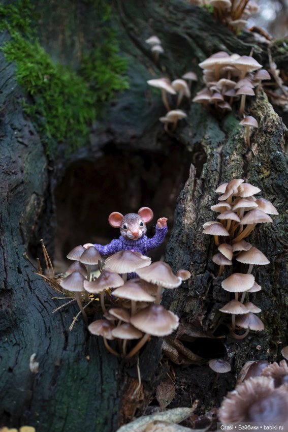 Мышуль в грибном лесу — Зарисовки из кукольной жизни: фотоистории (фото 7)