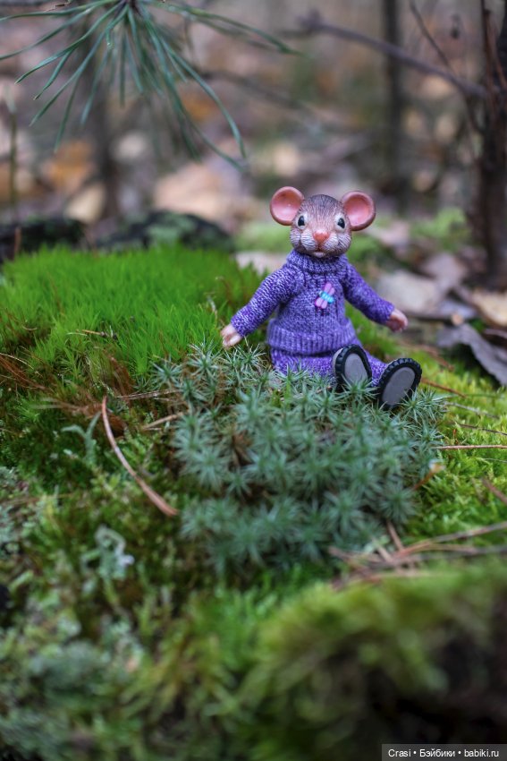 Мышуль в грибном лесу — Зарисовки из кукольной жизни: фотоистории