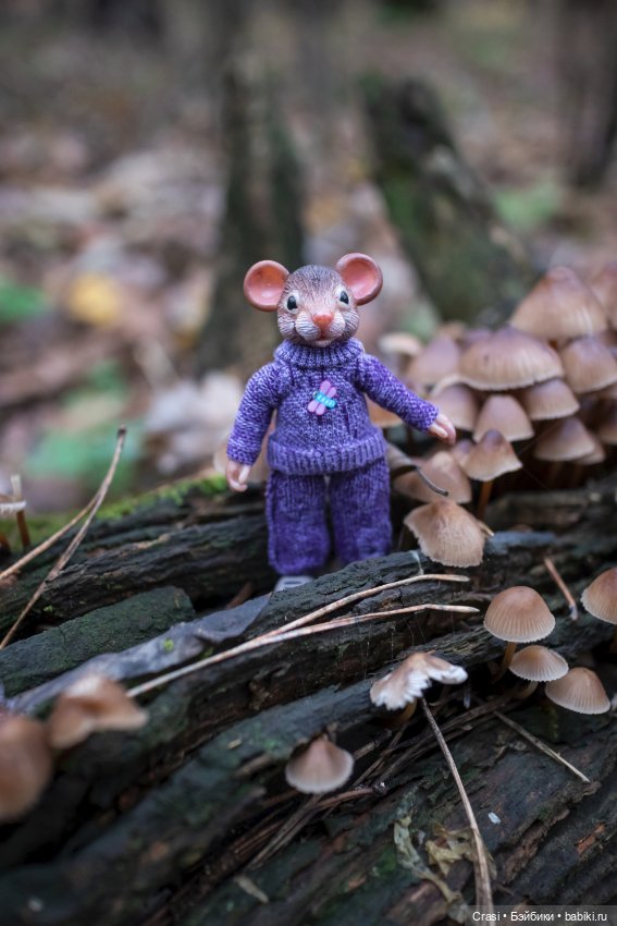Мышуль в грибном лесу — Зарисовки из кукольной жизни: фотоистории (фото 4)