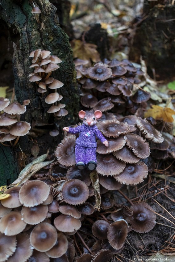 Мышуль в грибном лесу — Зарисовки из кукольной жизни: фотоистории (фото 8)