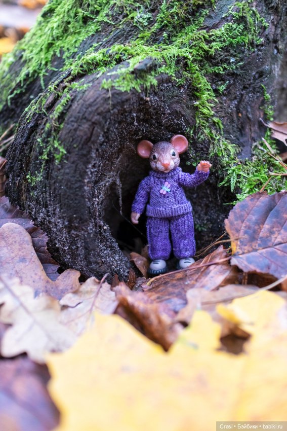 Мышуль в грибном лесу — Зарисовки из кукольной жизни: фотоистории (фото 5)