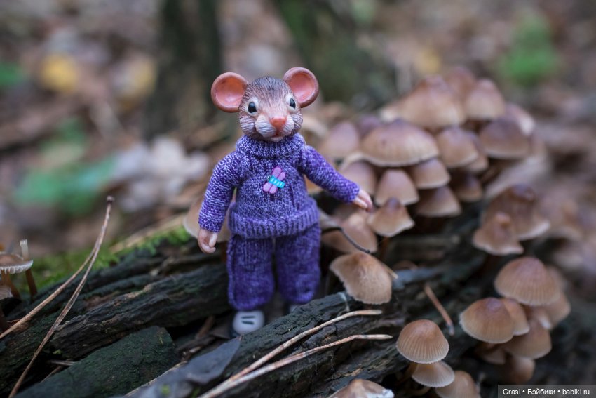 Мышуль в грибном лесу — Зарисовки из кукольной жизни: фотоистории (фото 2)