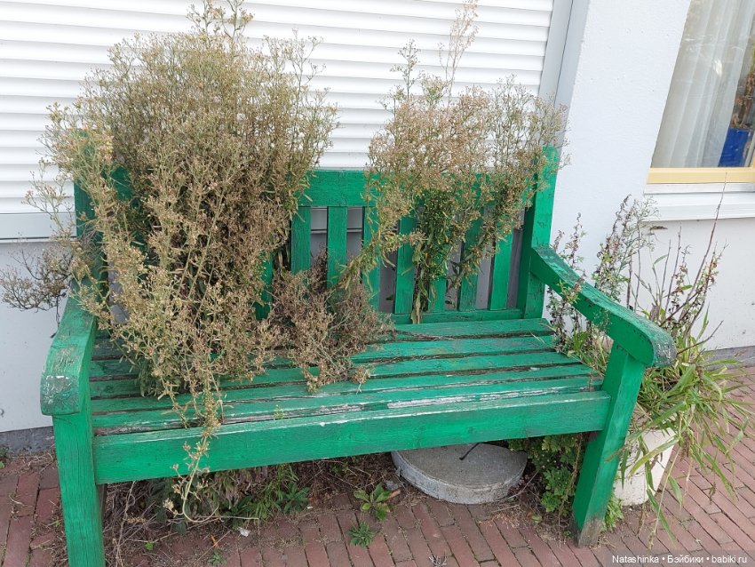 Fashion Dolls 415 — Туризм и путешествия: фотоотчеты из поездок (фото 5)