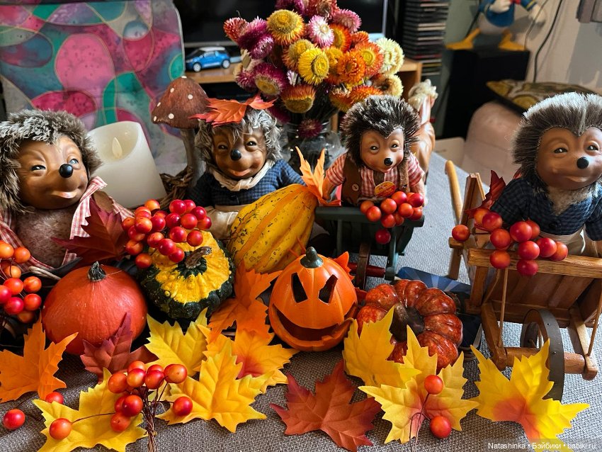 Fashion Dolls 415 — Туризм и путешествия: фотоотчеты из поездок