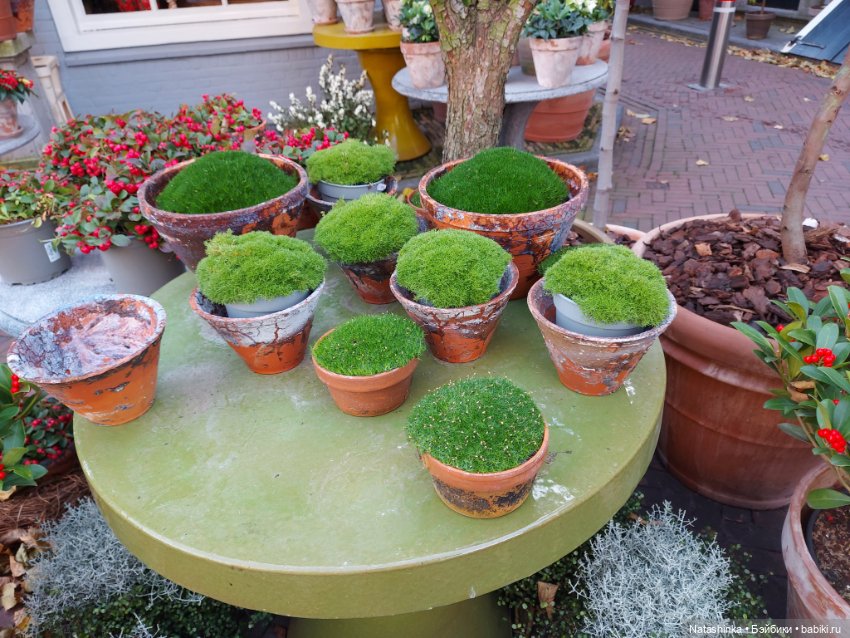 Fashion Dolls 415 — Туризм и путешествия: фотоотчеты из поездок