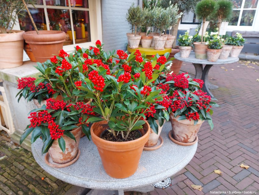 Fashion Dolls 415 — Туризм и путешествия: фотоотчеты из поездок