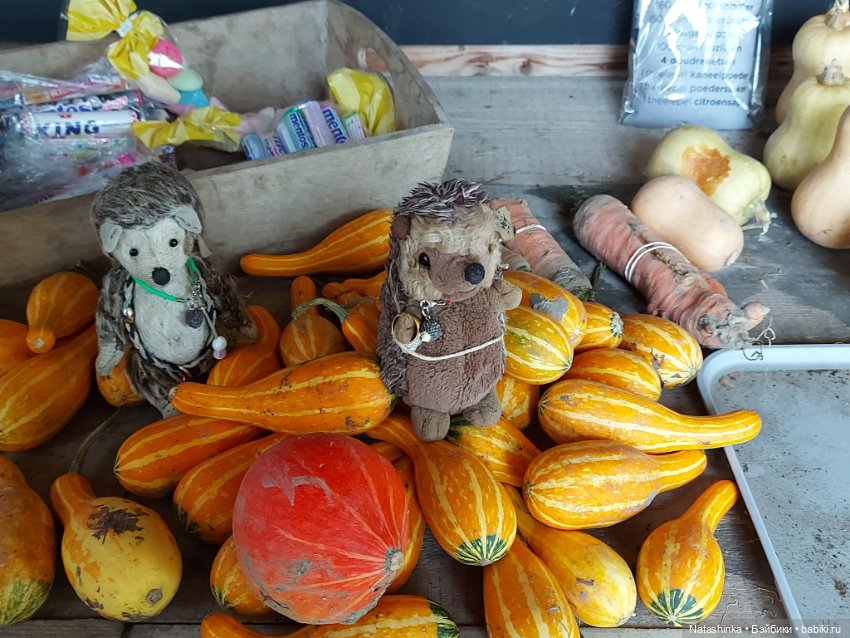 Fashion Dolls 415 — Туризм и путешествия: фотоотчеты из поездок