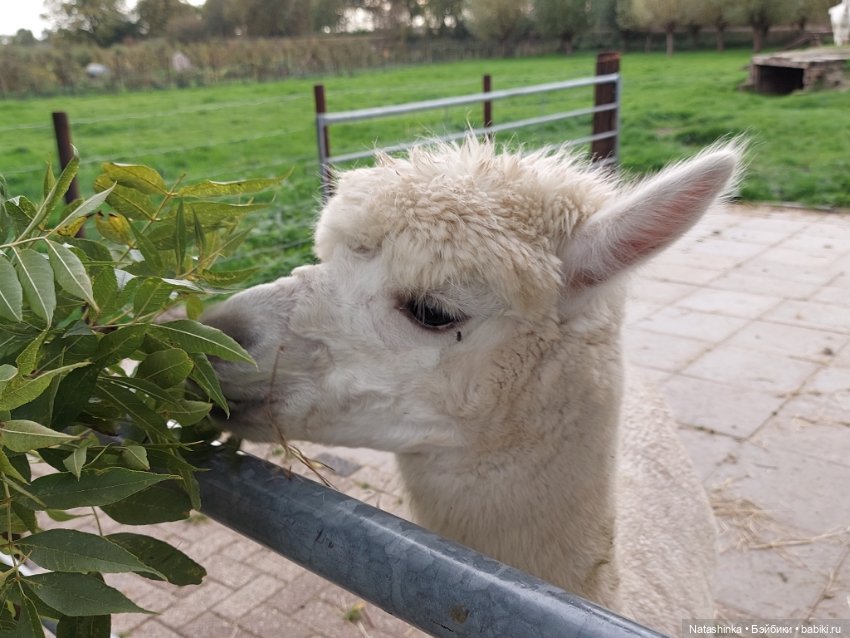 Fashion Dolls 415 — Туризм и путешествия: фотоотчеты из поездок