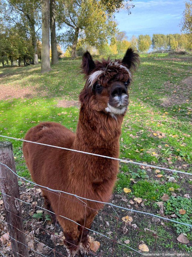 Fashion Dolls 415 — Туризм и путешествия: фотоотчеты из поездок