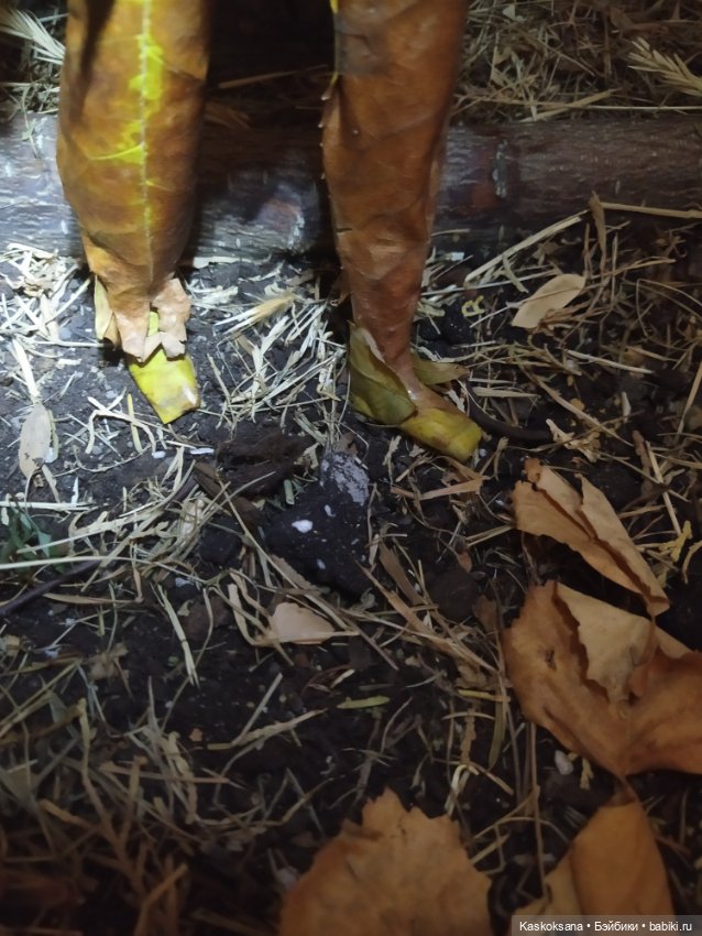 Сказки осеннего леса — Игровые куклы разных производителей (Разное): редкие бренды